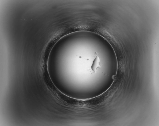 X0000094080735200710191421