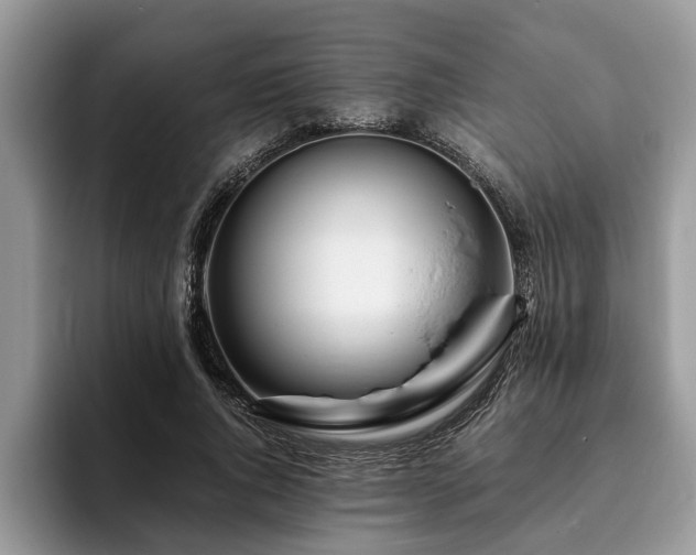 X0000094080736200710191421