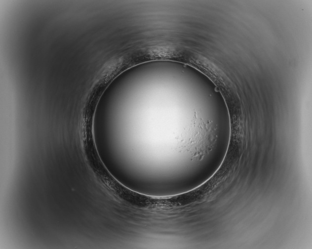 X0000094080738200710191421