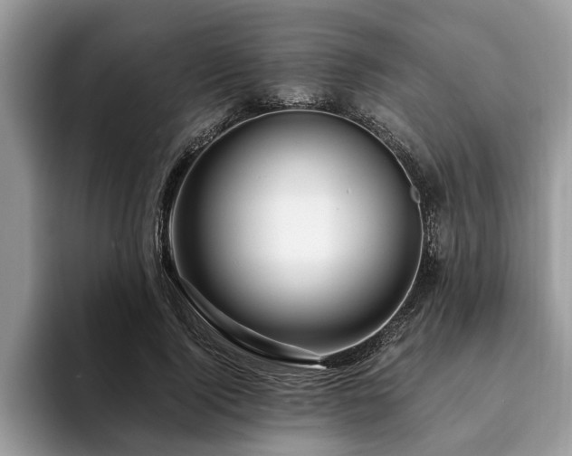 X0000094080740200710191421