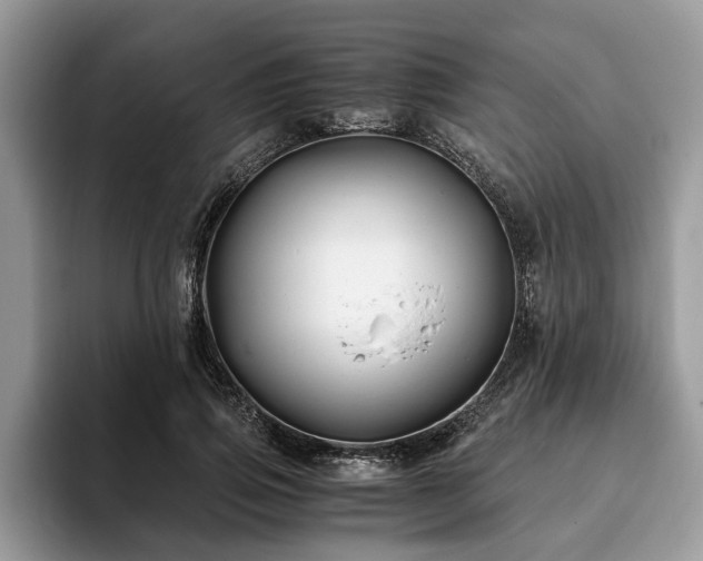 X0000094080741200710191421