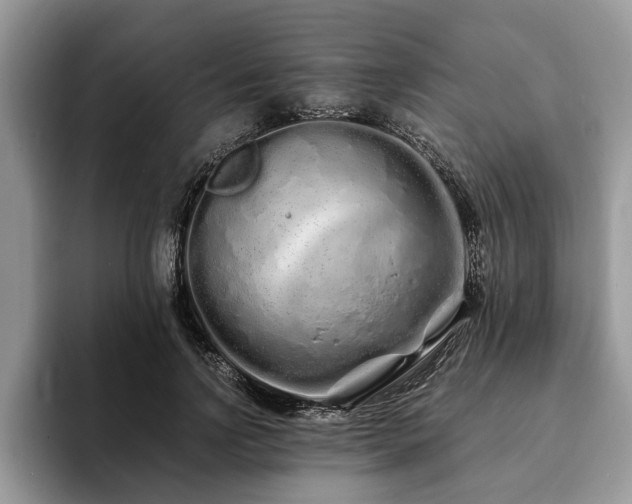 X0000094080742200710191421