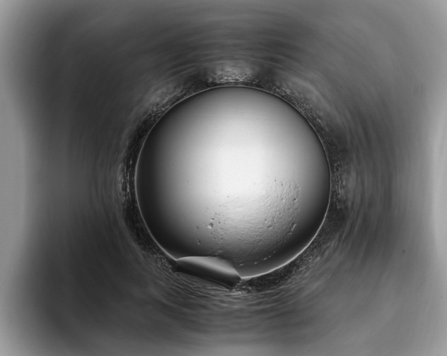 X0000094080743200710191421