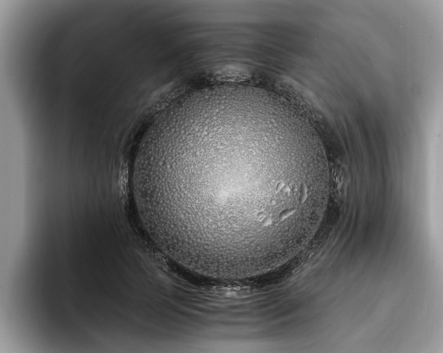 X0000094080745200710191421