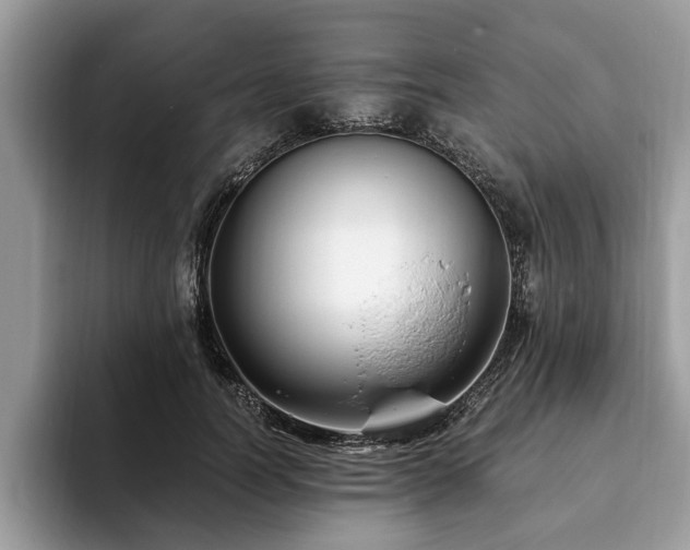 X0000094080746200710191421