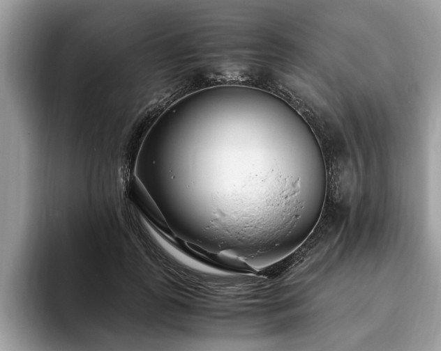 X0000094080747200710191421