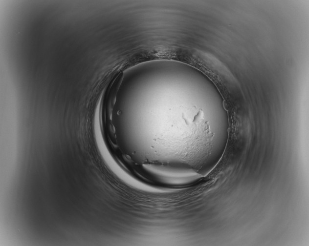 X0000094080748200710191421