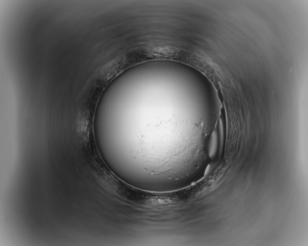 X0000094080749200710191421