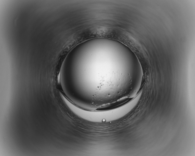 X0000094080750200710191421