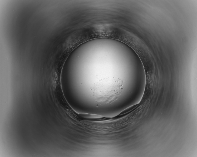 X0000094080752200710191421