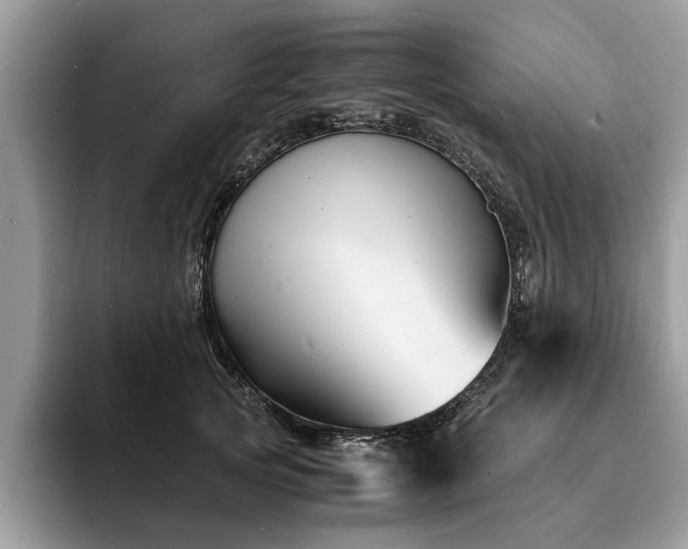 X0000094080753200710191421