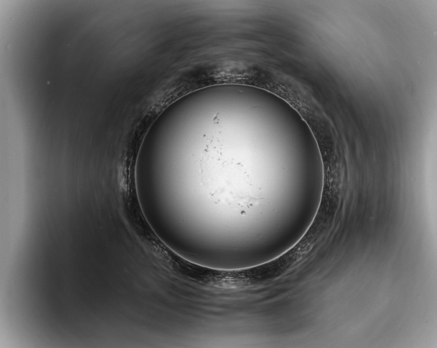 X0000094080755200710191421