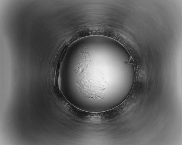 X0000094080756200710191421