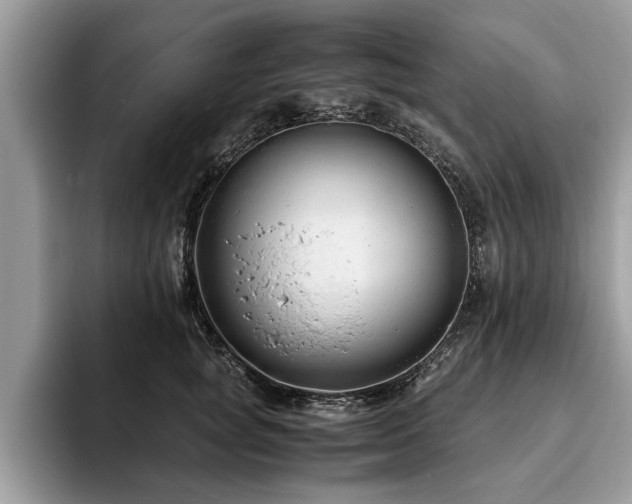 X0000094080757200710191421