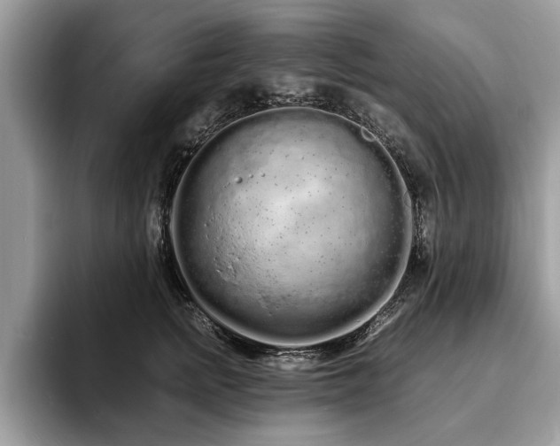 X0000094080758200710191421