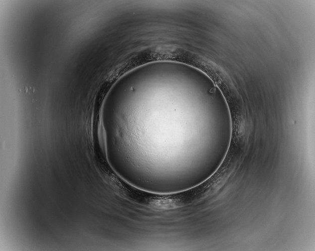 X0000094080759200710191421