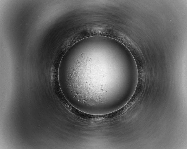 X0000094080760200710191421