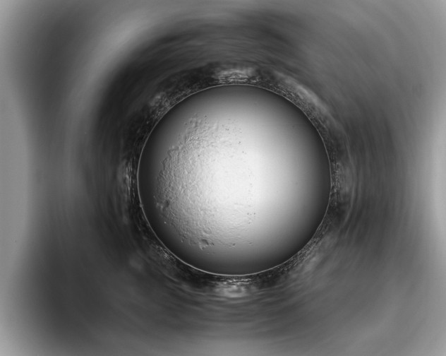 X0000094080761200710191421