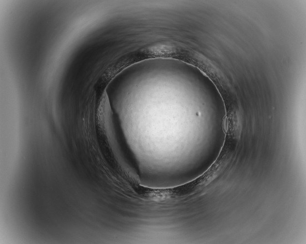 X0000094080762200710191421