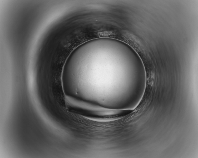 X0000094080763200710191421