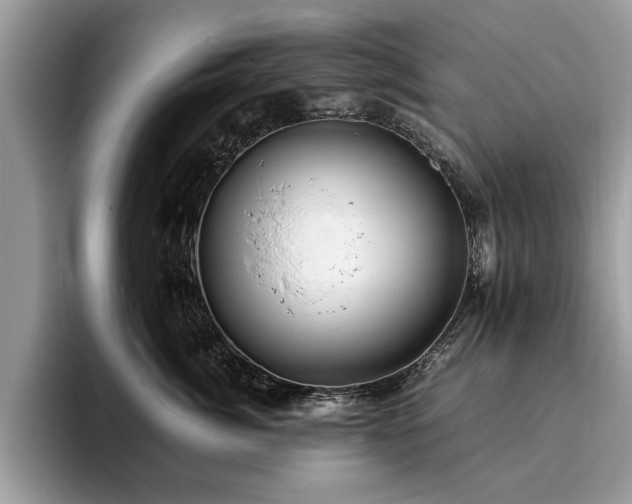 X0000094080764200710191421