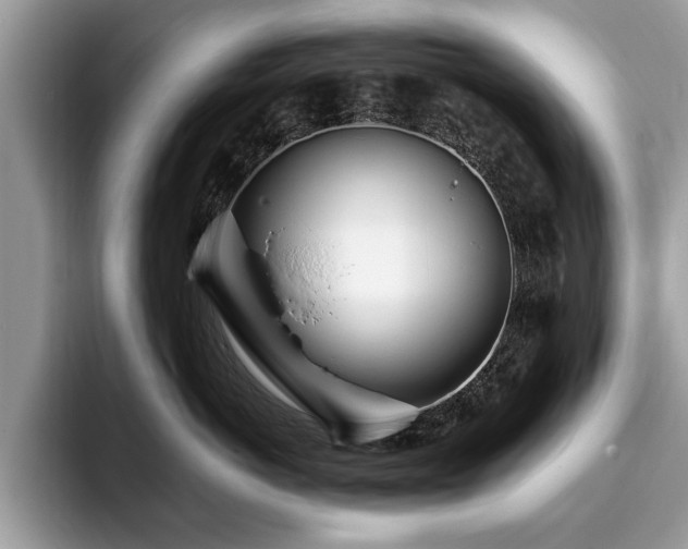 X0000094080766200710191421