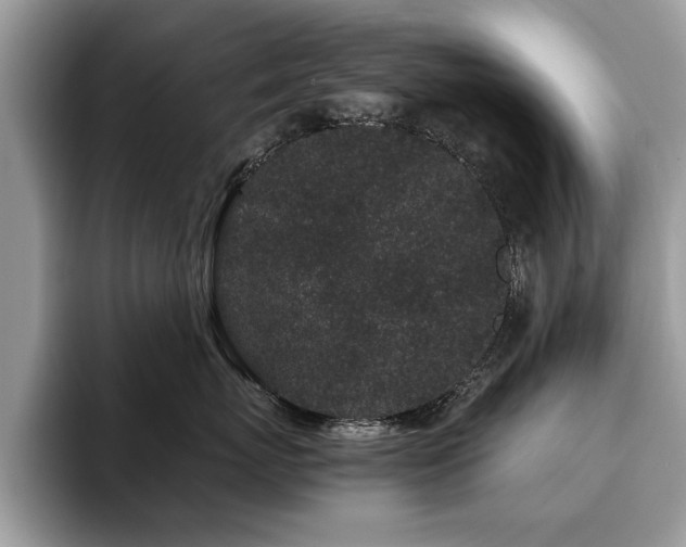 X0000094080767200710191421