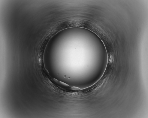 X0000094080771200710191421