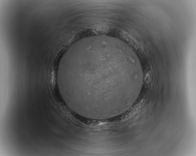 X0000094080772200710191421