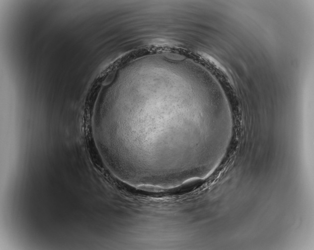 X0000094080775200710191421