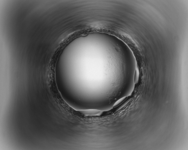 X0000094080776200710191421