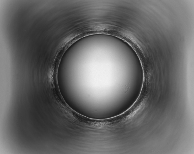 X0000094080778200710191421