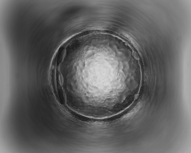 X0000094080779200710191421