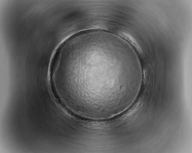 X0000094080780200710191421