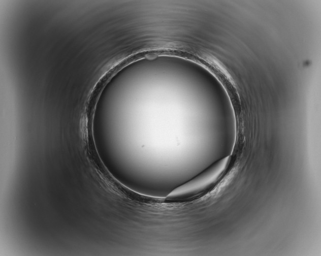 X0000094080781200710191420