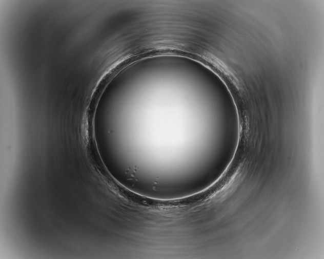 X0000094080782200710191420