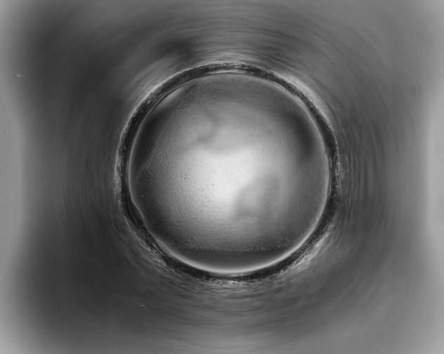 X0000094080783200710191420