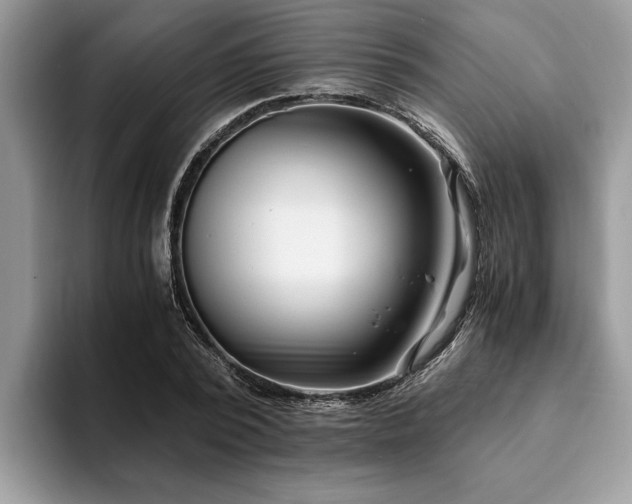 X0000094080784200710191420