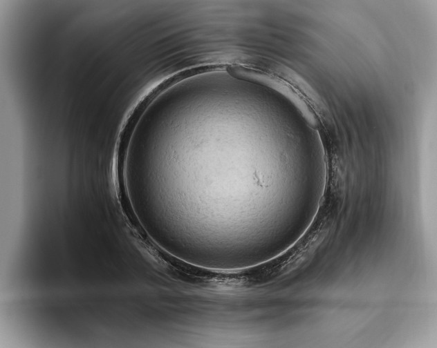 X0000094080788200710191420