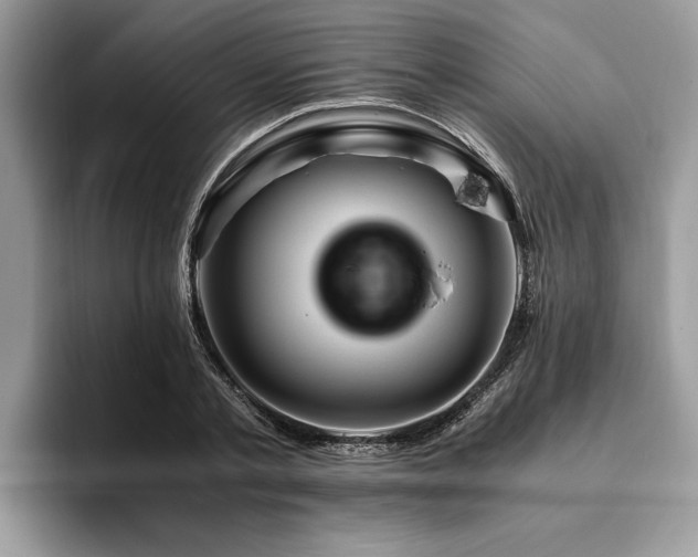 X0000094080789200710191420