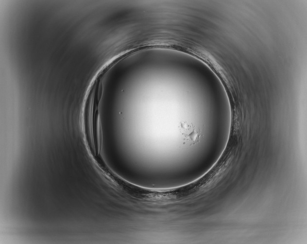 X0000094080795200710191420