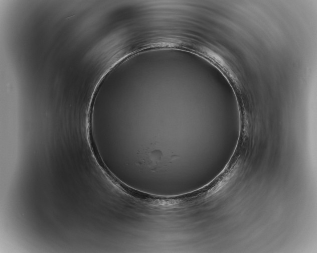 X0000094080802200710191420