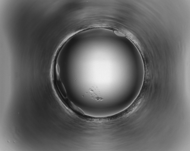 X0000094080803200710191420