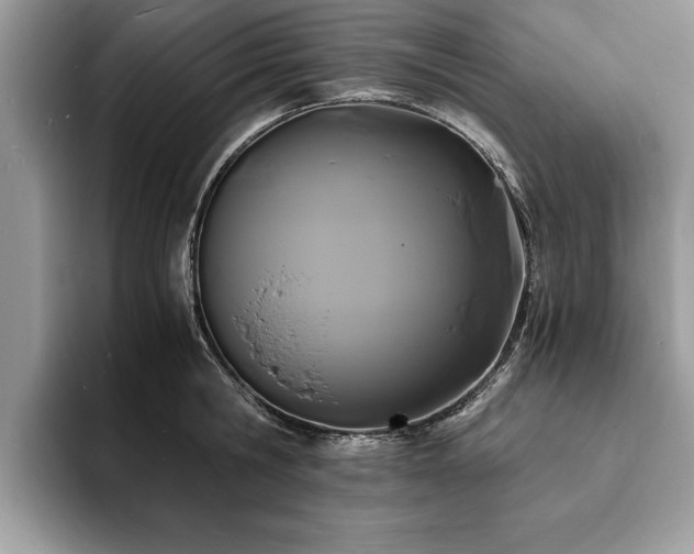 X0000094080806200710191420