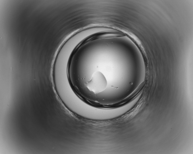 X0000094080807200710191420