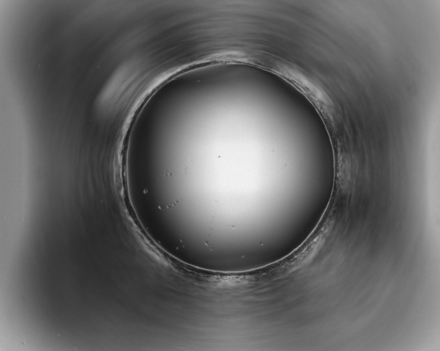 X0000094080808200710191420