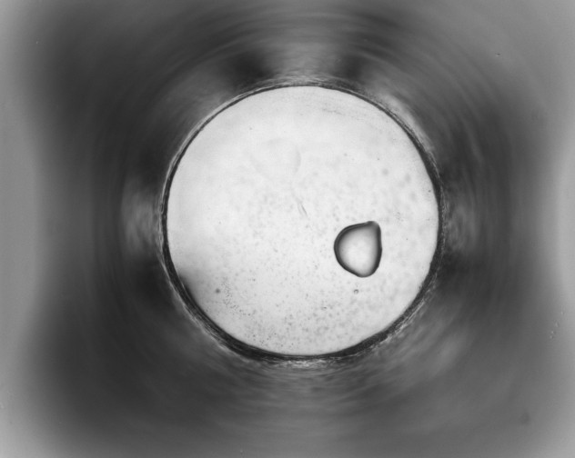 X0000094080810200710191420