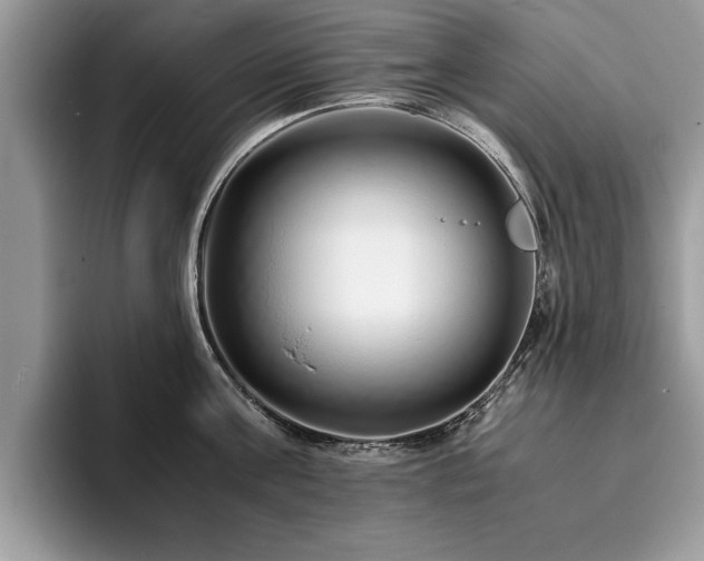 X0000094080811200710191420