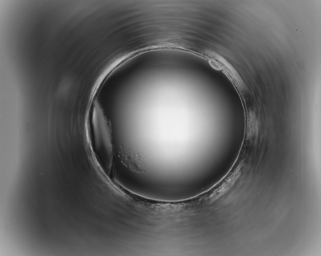 X0000094080812200710191420