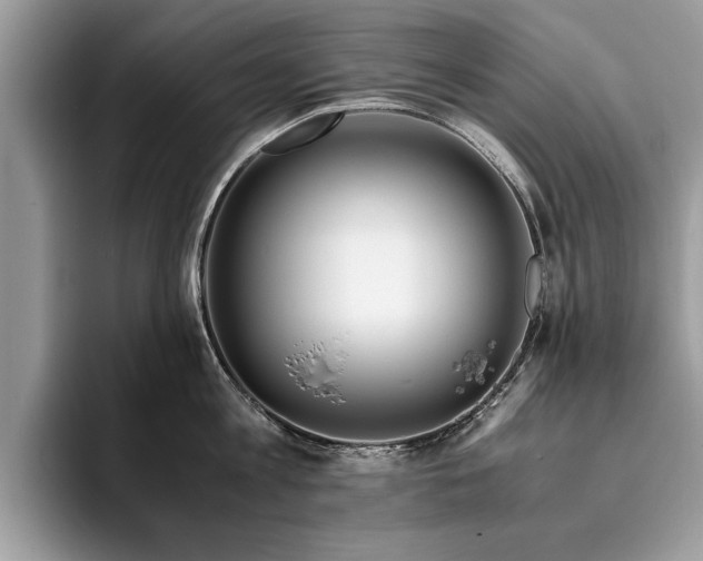 X0000094080813200710191420